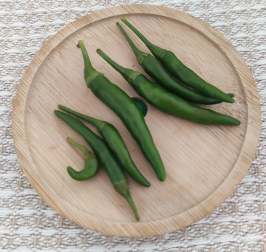 chili